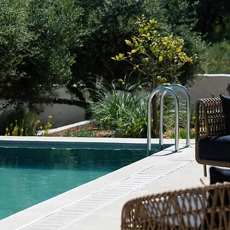 Heniochos * חאניה